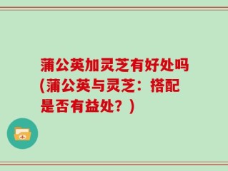 蒲公英加灵芝有好处吗(蒲公英与灵芝：搭配是否有益处？)
