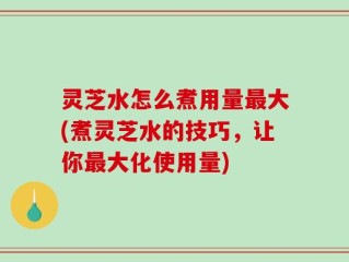 灵芝水怎么煮用量最大(煮灵芝水的技巧，让你最大化使用量)