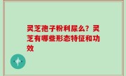 灵芝孢子粉利尿么？灵芝有哪些形态特征和功效
