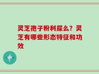 灵芝孢子粉利尿么？灵芝有哪些形态特征和功效