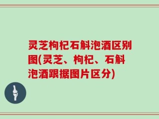 灵芝枸杞石斛泡酒区别图(灵芝、枸杞、石斛泡酒跟据图片区分)