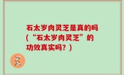 石太岁肉灵芝是真的吗(“石太岁肉灵芝”的功效真实吗？)