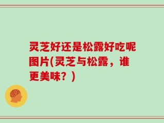 灵芝好还是松露好吃呢图片(灵芝与松露，谁更美味？)