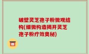 破壁灵芝孢子粉微观结构(细微构造揭开灵芝孢子粉疗效奥秘)