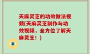 天麻灵芝的功效做法视频(天麻灵芝制作与功效视频，全方位了解天麻灵芝！)