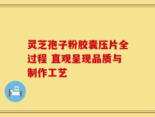 灵芝孢子粉胶囊压片全过程 直观呈现品质与制作工艺