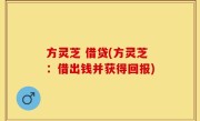 方灵芝 借贷(方灵芝：借出钱并获得回报)