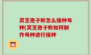 灵芝孢子粉怎么接种母种(灵芝孢子粉如何制作母种进行接种
