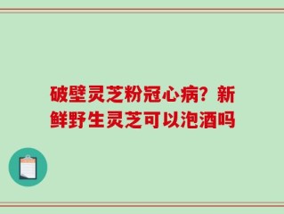 破壁灵芝粉冠心病？新鲜野生灵芝可以泡酒吗