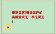 泰芝灵芝(泰国出产的高质量灵芝：泰芝灵芝)