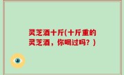 灵芝酒十斤(十斤重的灵芝酒，你喝过吗？)