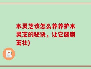 木灵芝该怎么养养护木灵芝的秘诀，让它健康茁壮)