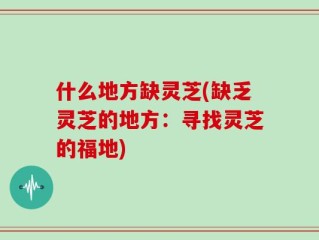 什么地方缺灵芝(缺乏灵芝的地方：寻找灵芝的福地)
