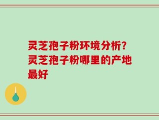 灵芝孢子粉环境分析？灵芝孢子粉哪里的产地最好