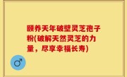 颐养天年破壁灵芝孢子粉(破解天然灵芝的力量，尽享幸福长寿)