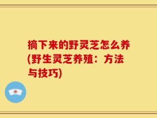 摘下来的野灵芝怎么养(野生灵芝养殖：方法与技巧)