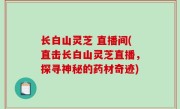长白山灵芝 直播间(直击长白山灵芝直播，探寻神秘的药材奇迹)