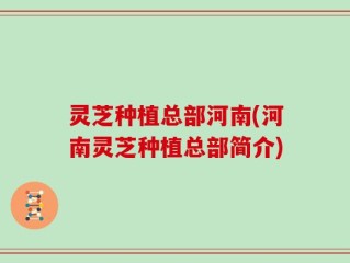 灵芝种植总部河南(河南灵芝种植总部简介)