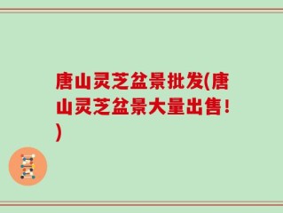 唐山灵芝盆景批发(唐山灵芝盆景大量出售！)
