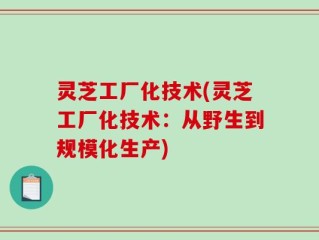 灵芝工厂化技术(灵芝工厂化技术：从野生到规模化生产)