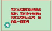 灵芝三萜提取流程图示解析？灵芝孢子粉里的灵芝三萜和总三萜，说的是一回事吗