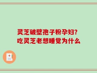 灵芝破壁孢子粉孕妇？吃灵芝老想睡觉为什么
