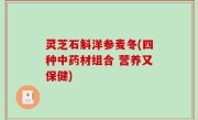 灵芝石斛洋参麦冬(四种中药材组合 营养又保健)