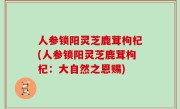 人参锁阳灵芝鹿茸枸杞(人参锁阳灵芝鹿茸枸杞：大自然之恩赐)
