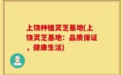 上饶种植灵芝基地(上饶灵芝基地：品质保证，健康生活)