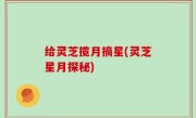 给灵芝揽月摘星(灵芝星月探秘)