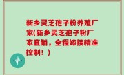新乡灵芝孢子粉养殖厂家(新乡灵芝孢子粉厂家直销，全程嫁接精准控制！)