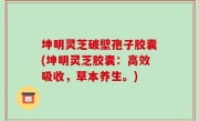 坤明灵芝破壁孢子胶囊(坤明灵芝胶囊：高效吸收，草本养生。)