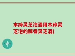 木蹄灵芝泡酒用木蹄灵芝泡的醇香灵芝酒)