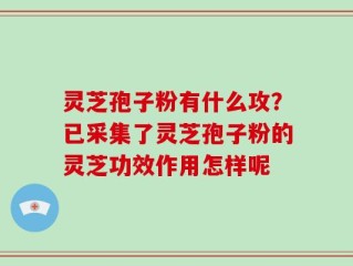 灵芝孢子粉有什么攻？已采集了灵芝孢子粉的灵芝功效作用怎样呢