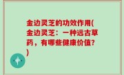 金边灵芝的功效作用(金边灵芝：一种远古草药，有哪些健康价值？)