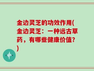 金边灵芝的功效作用(金边灵芝：一种远古草药，有哪些健康价值？)