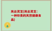 凤云灵芝(凤云灵芝：一种珍贵的天然健康食品)