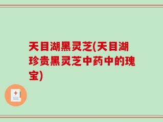 天目湖黑灵芝(天目湖珍贵黑灵芝中药中的瑰宝)