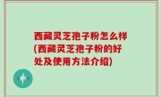 西藏灵芝孢子粉怎么样(西藏灵芝孢子粉的好处及使用方法介绍)