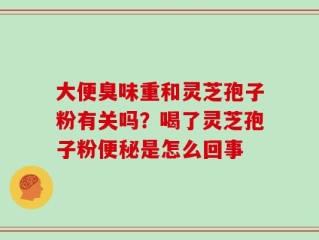 大便臭味重和灵芝孢子粉有关吗？喝了灵芝孢子粉便秘是怎么回事