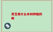 灵芝用什么木材种植的呢
