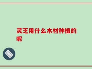 灵芝用什么木材种植的呢