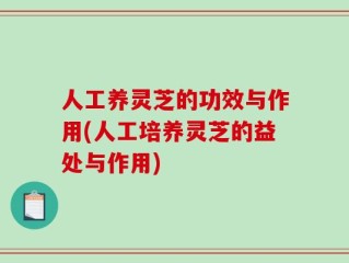 人工养灵芝的功效与作用(人工培养灵芝的益处与作用)