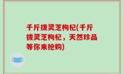 千斤拨灵芝枸杞(千斤拔灵芝枸杞，天然珍品等你来抢购)
