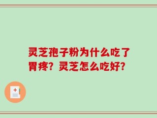 灵芝孢子粉为什么吃了胃疼？灵芝怎么吃好？