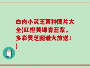 白肉小灵芝菌种图片大全(红橙黄绿青蓝紫，多彩灵芝图谱大放送！)