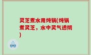 灵芝煮水用炖锅(炖锅煮灵芝，水中灵气透彻)