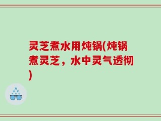 灵芝煮水用炖锅(炖锅煮灵芝，水中灵气透彻)