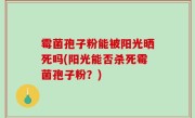霉菌孢子粉能被阳光晒死吗(阳光能否杀死霉菌孢子粉？)