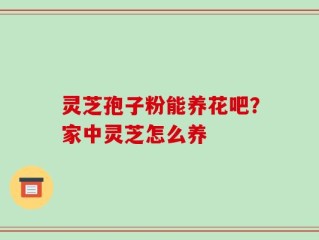 灵芝孢子粉能养花吧？家中灵芝怎么养